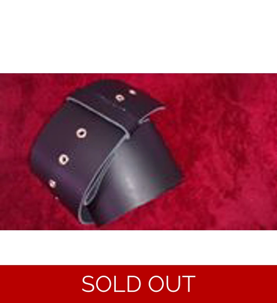 3 1/2 INCH WIDE BELT